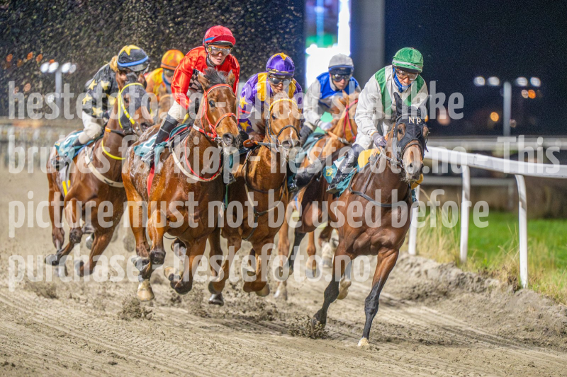 20251113-205022-DSC_1411