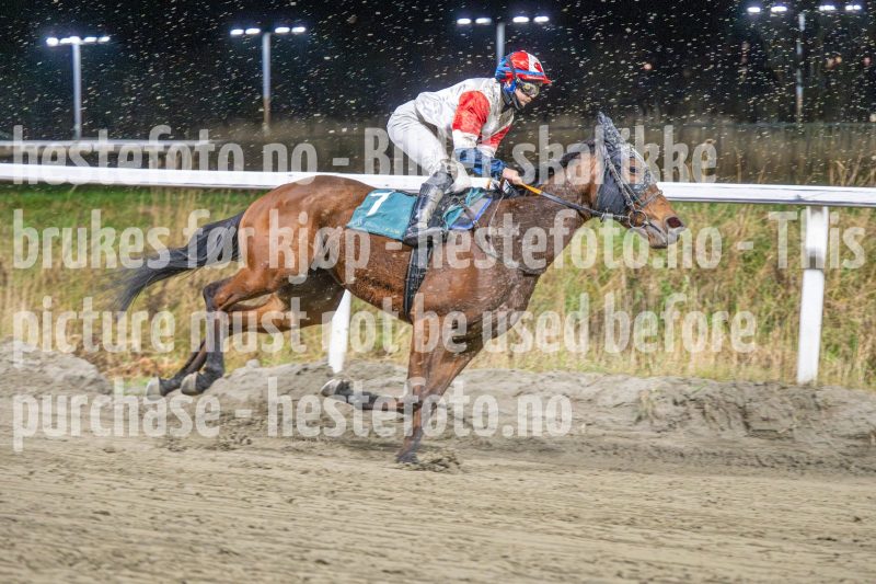 20251113-205025-DSC_1419