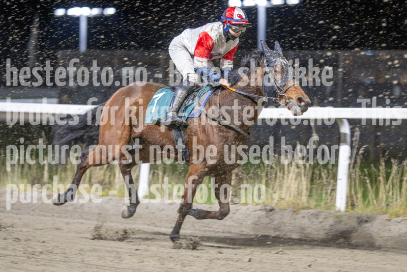 20251113-205112-DSC_9829