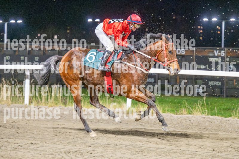 20251113-205150-DSC_1437