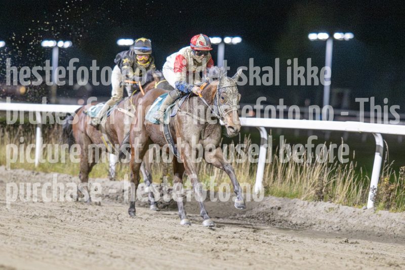 20251113-205237-DSC_9862