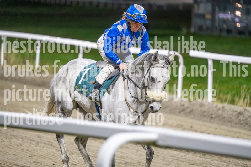 20251113-211050-DSC_1451