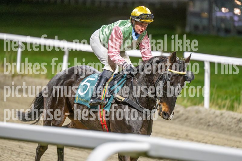 20251113-211054-DSC_1465