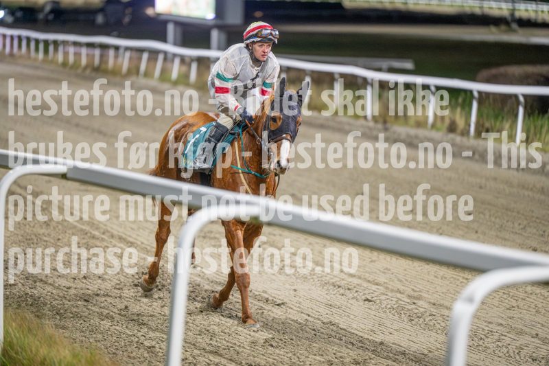 20251113-211108-DSC_1473