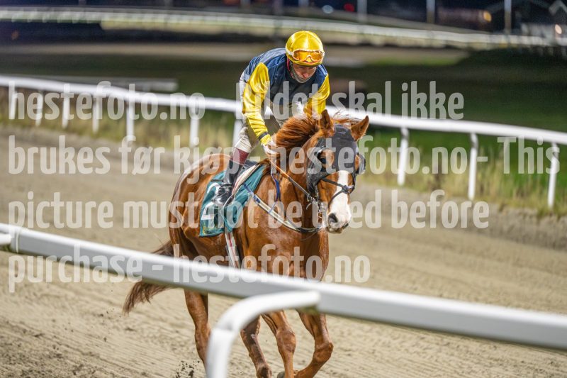 20251113-211112-DSC_1493