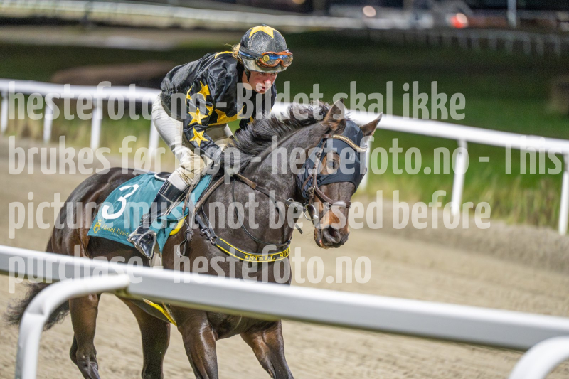 20251113-211117-DSC_1508