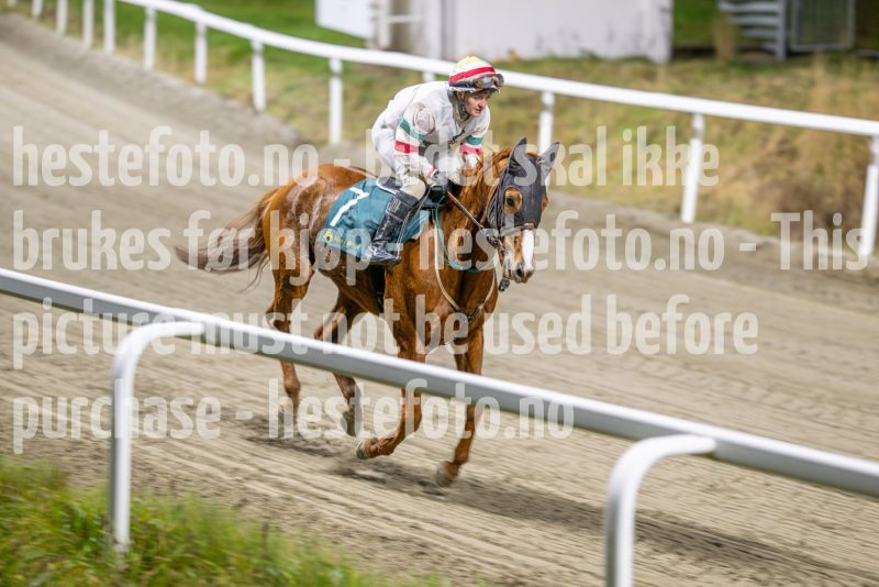 20251113-211202-DSC_0006