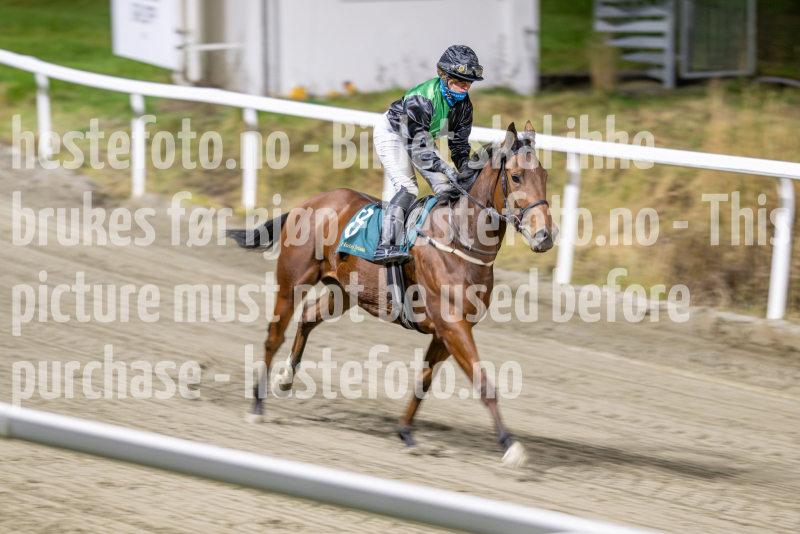 20251113-211238-DSC_0089