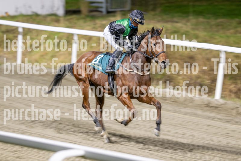 20251113-211239-DSC_0093