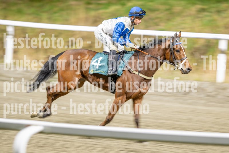 20251113-211243-DSC_0129