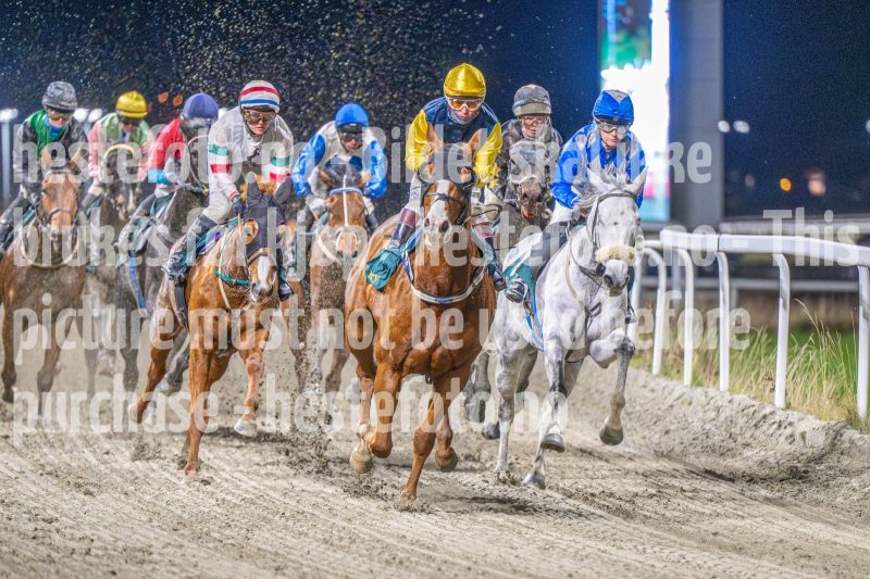 20251113-211932-DSC_1545