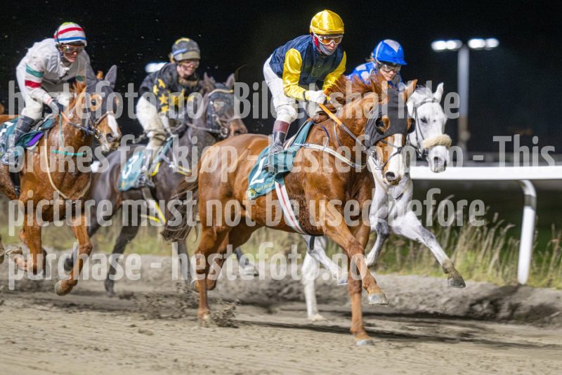 20251113-212020-DSC_0172