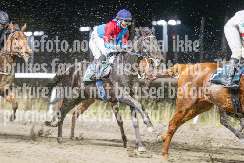 20251113-212020-DSC_0182