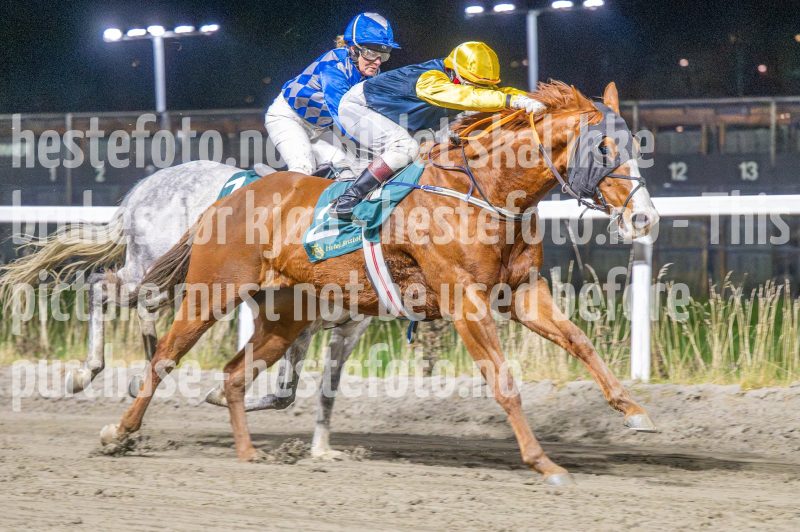 20251113-212102-DSC_1575