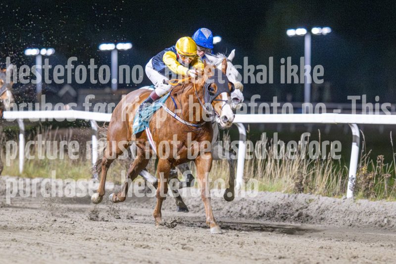 20251113-212151-DSC_0262