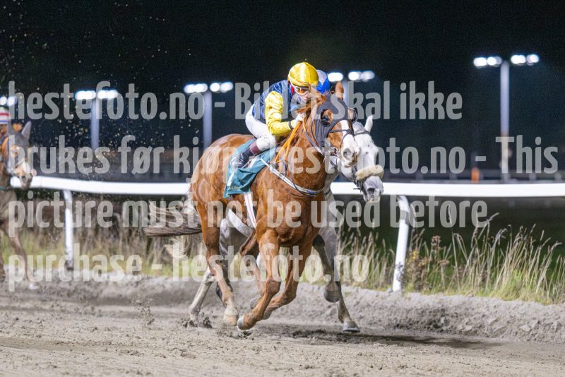 20251113-212151-DSC_0265