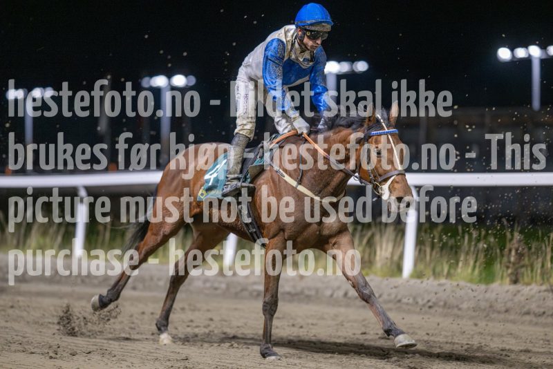 20251113-212153-DSC_0298