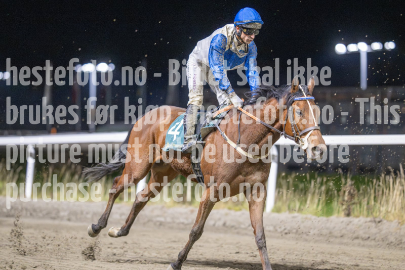 20251113-212154-DSC_0299