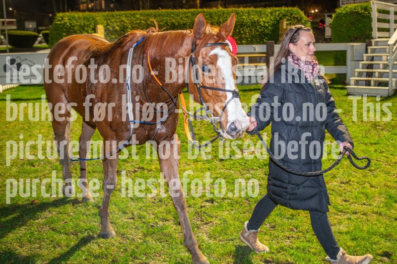 20251113-212944-DSC_0672