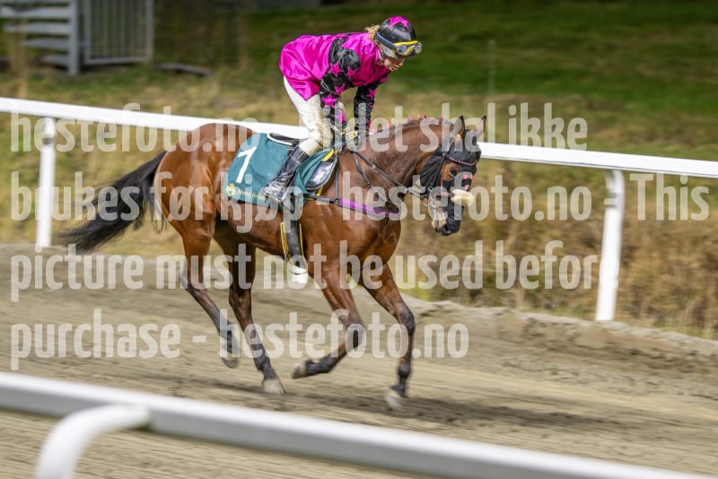 20251113-213316-DSC_0351