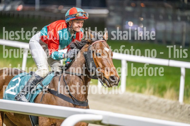 20251113-213908-DSC_1644