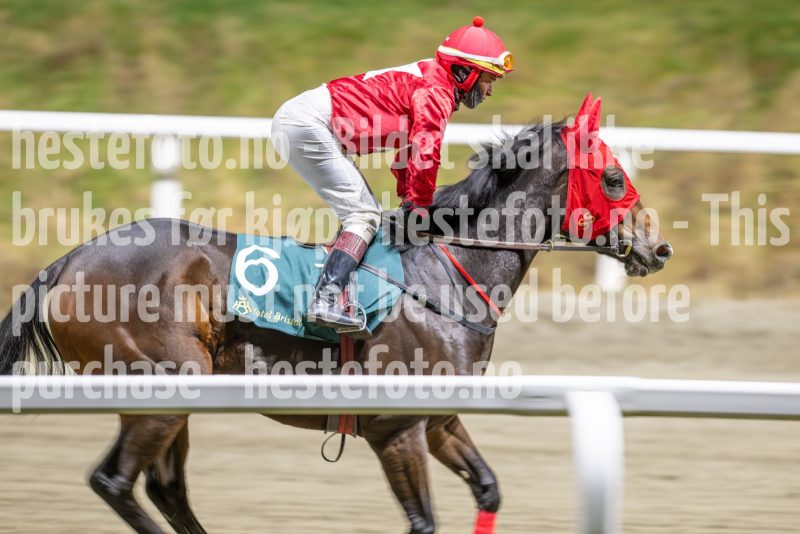 20251113-214101-DSC_0508