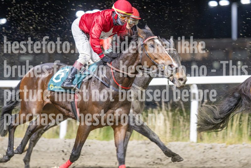 20251113-214528-DSC_0555