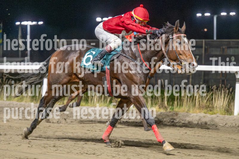 20251113-214611-DSC_1713