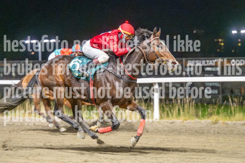 20251113-214611-DSC_1715