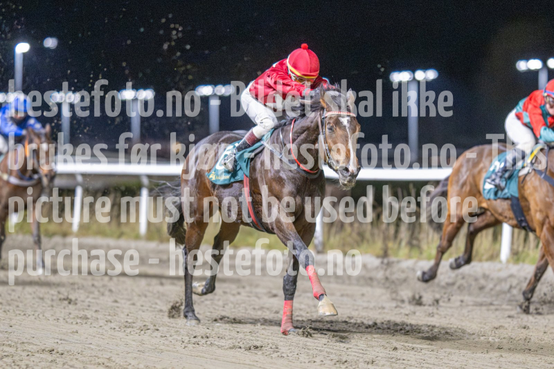 20251113-214701-aDSC_0640