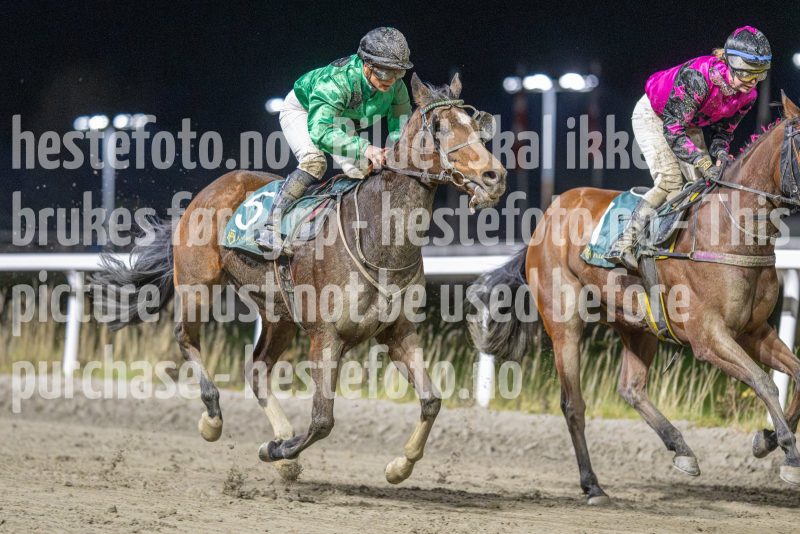 20251113-214704-DSC_0683