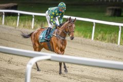 20251113-184712-DSC_0903