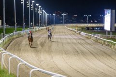 20251113-184737-DSC_8431