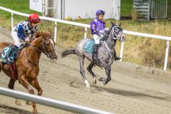 20251113-184742-DSC_8457