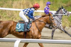 20251113-184743-DSC_8472