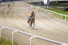 20251113-184752-DSC_8488