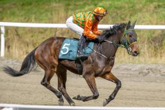 20251113-184755-DSC_8493