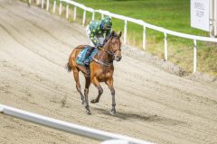 20251113-184803-DSC_8518