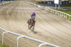 20251113-184849-DSC_8557