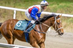 20251113-184904-DSC_8610