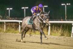 20251113-185324-DSC_0941