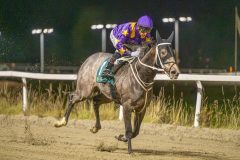 20251113-185324-DSC_0942