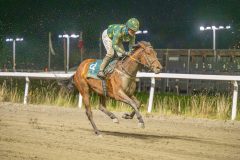 20251113-185326-DSC_0944