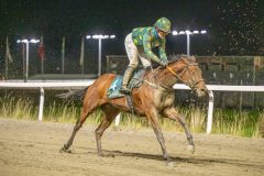 20251113-185326-DSC_0945