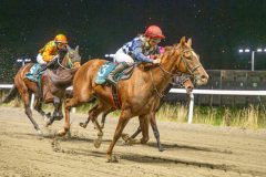 20251113-185327-DSC_0947