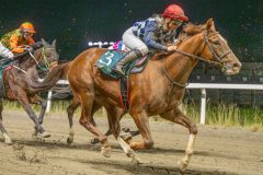 20251113-185327-DSC_0948