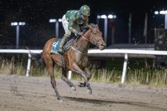 20251113-185415-DSC_8652