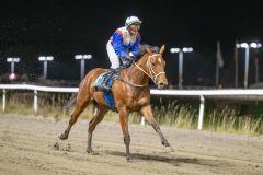 20251113-185420-DSC_8689