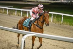 20251113-191110-DSC_1041