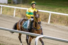 20251113-191129-DSC_8754